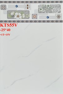 Gạch Prime 25x40 KTS55V