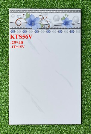 Gạch Prime 25x40 KTS56V