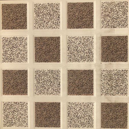 Gạch Sàn nước 25x25 S 5219