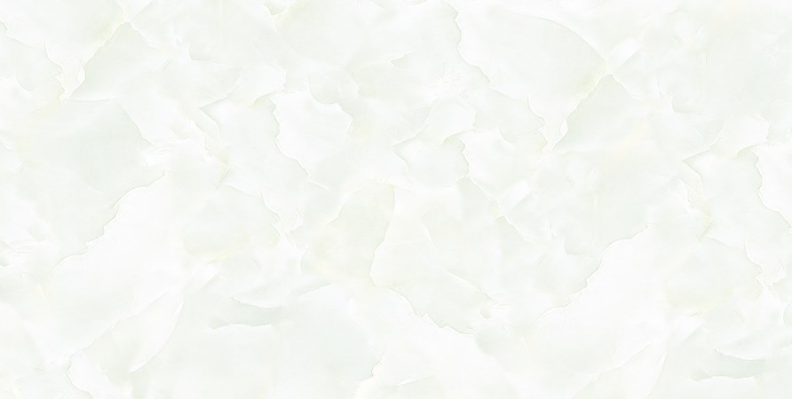 Gạch TASA 40x80 4809