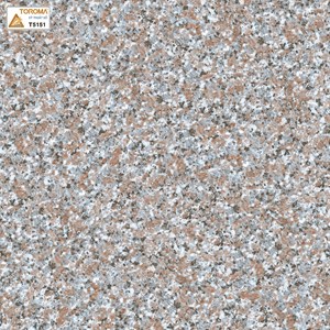 Gạch TOROMA 50x50 T5151