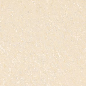 Gạch Taicera 1mx1m P10703N