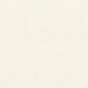 Gạch Taicera G68953