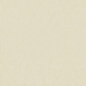 Gạch Taicera H68713