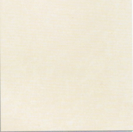 Gạch 600x600 Taicera P67542N