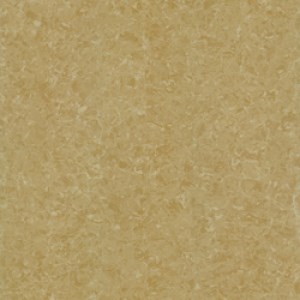 Gạch Taicera P67771N (600x600)