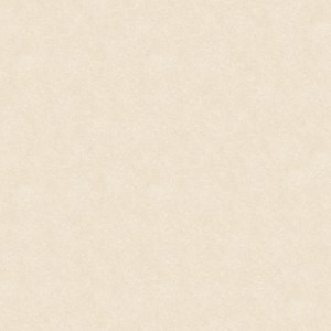 Gạch Tasa 400x800 8001