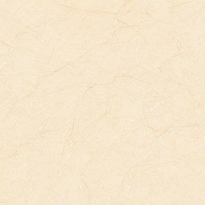 Gạch Tasa 800x800 TL 8101