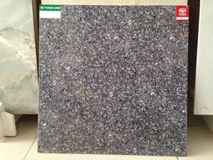 Gạch Tasa ốp mặt tiền 6209