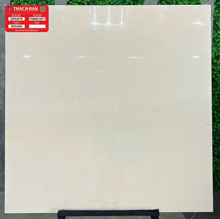 Gạch Thạch Bàn 800x800 TGB80-0071