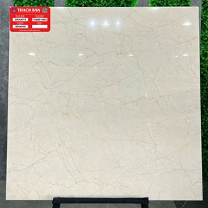 Gạch Thạch Bàn 800x800 TGB80-0853