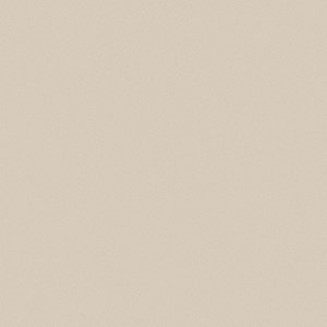 Gạch Viglacera TS5-601