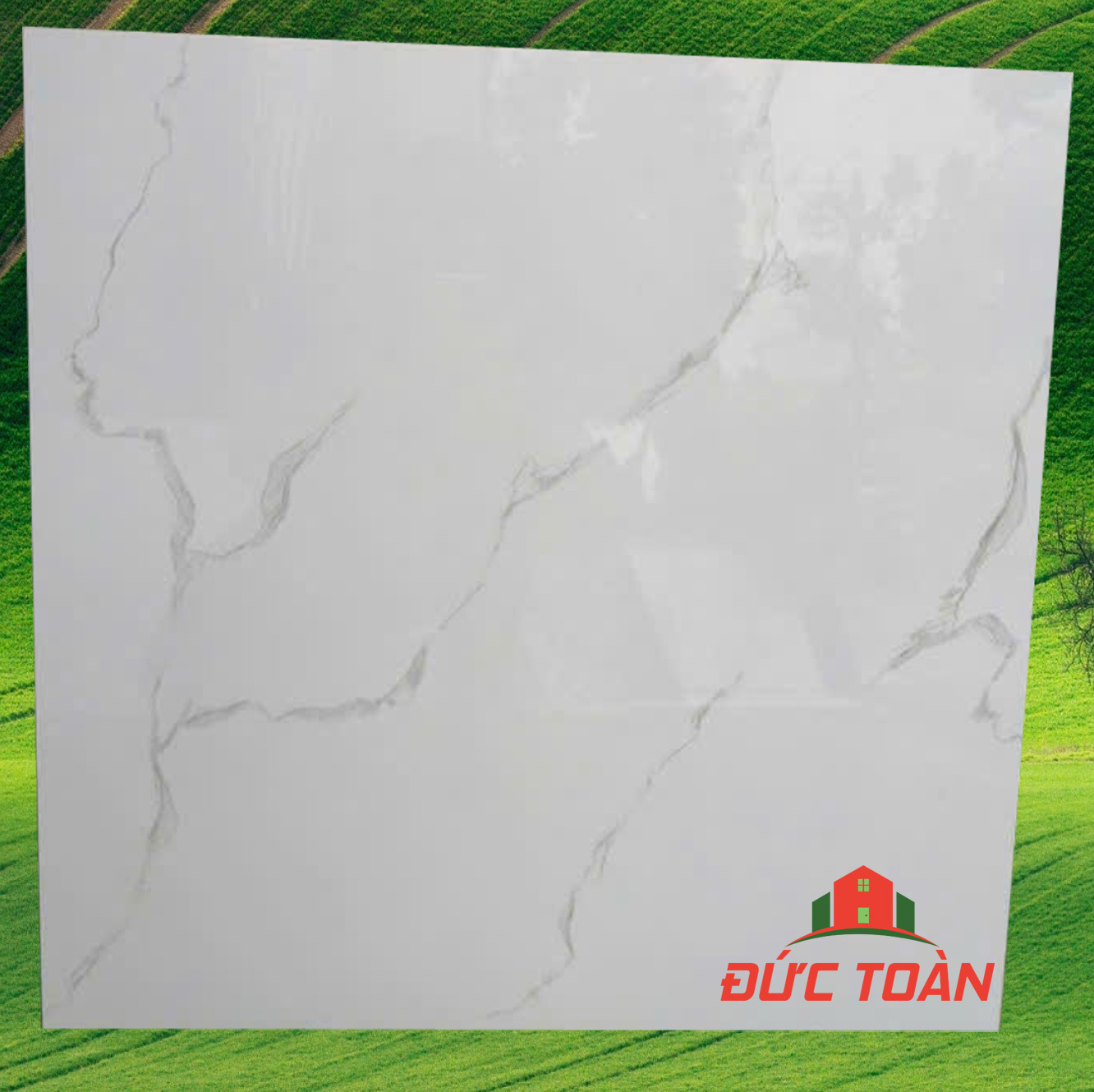 Gạch bóng kính Hà Thanh 800x800 TTV 88001