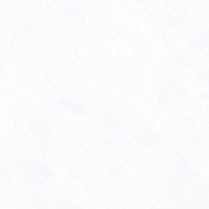 Gạch lát nền PRIME 600x600 9687