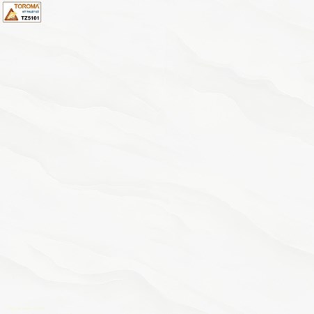 Gạch lát nền TOROMA 50x50 TZ5101