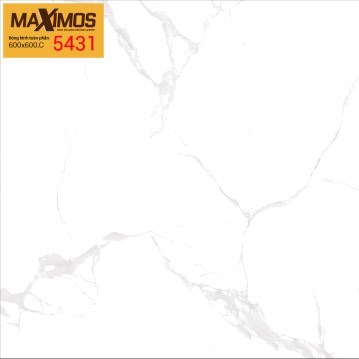 Gạch men VITTO 5431