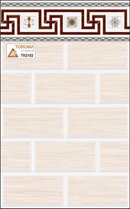 Gạch ốp TOROMA 2102