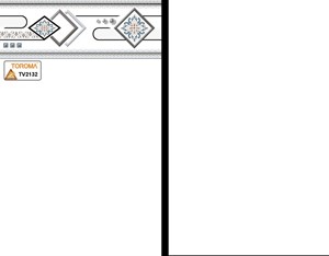 Gạch ốp TOROMA 2132