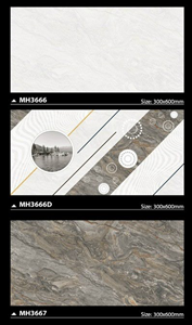 Gạch ốp tường MIKADO MH3666