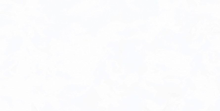 Gạch ốp tường Prime 9939