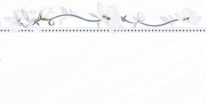 Gạch ốp tường Prime 9941