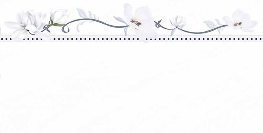 Gạch ốp tường Prime 9941