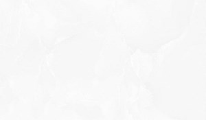 Gạch ốp men bóng TASA 2004-STN