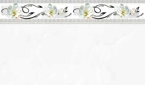 Gạch ốp men bóng TASA 2006-STN