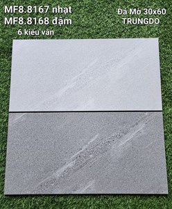 Đá ốp lát Trung Đô 8167