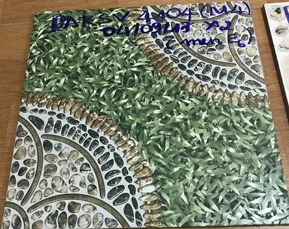 Gạch sân vườn 4104