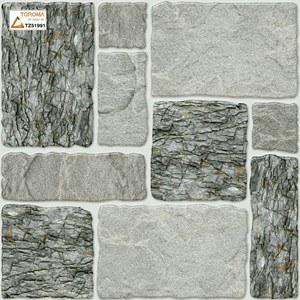 Gạch sân vườn KTS TOROMA TZ51991