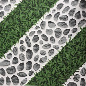 Gạch sân vườn Viglacera SH 438