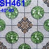 Gạch sân vườn Viglacera SH 461