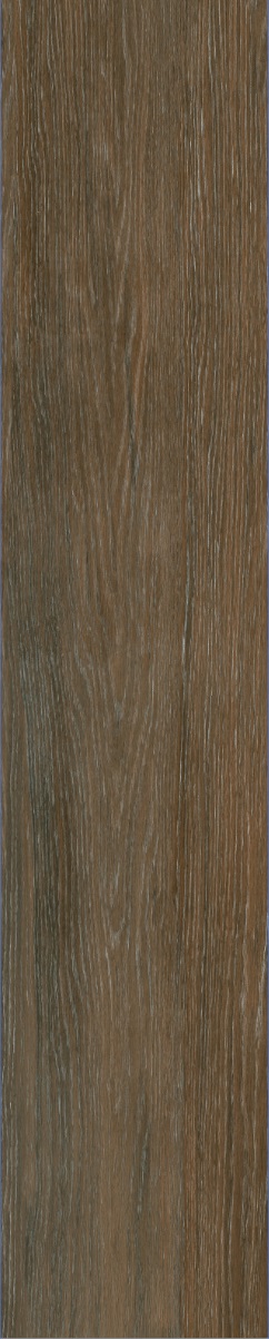 Gạch vân gỗ 15x80 Perfetto 12004