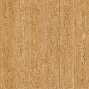 Gạch vân gỗ PRIME 600x600 9651