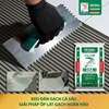 KEO DÁN GẠCH GREEN CROCODILE